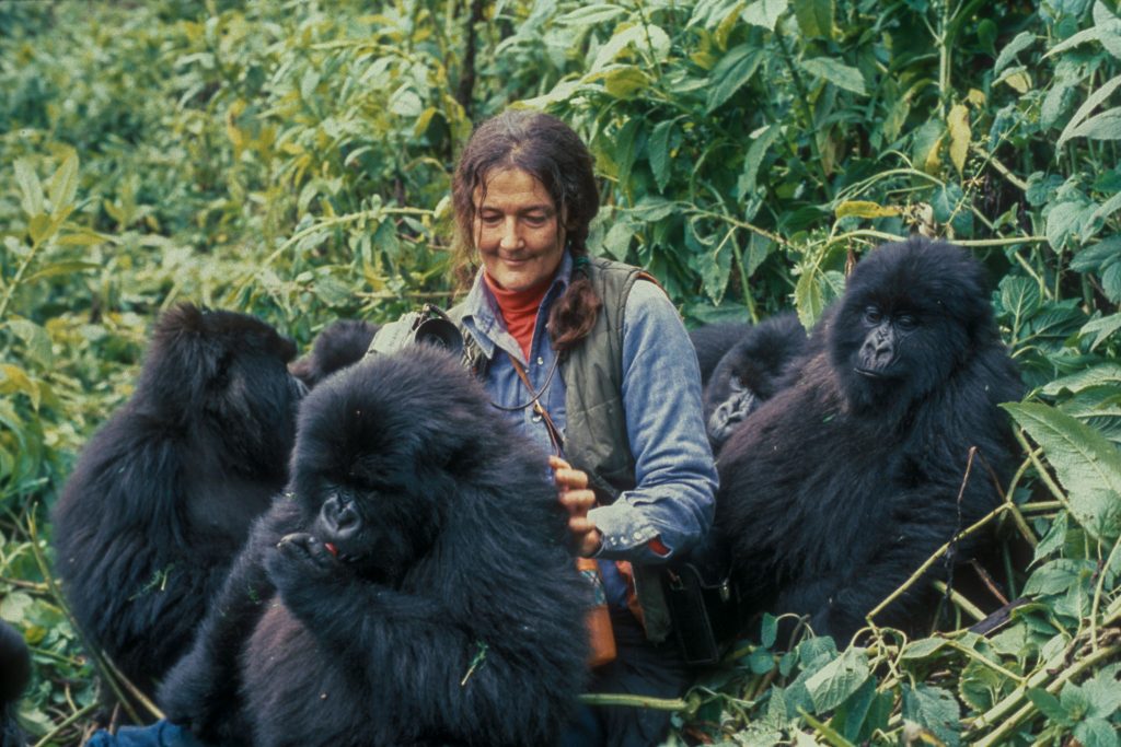 dian fossey