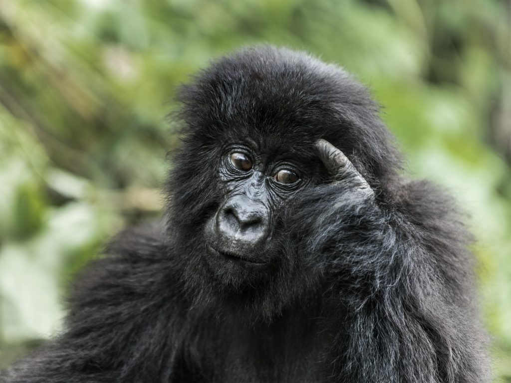 best time to visit Rwanda